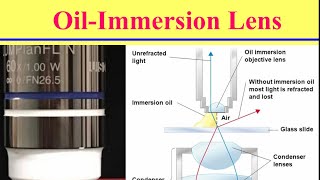 فكرة وإستخدام العدسة الزيتية للميكروسكوب Principle and Uses of Oil-Immersion Lens in Microscope