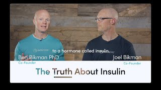 The Truth About Insulin by GetHLTH 640 views 3 years ago 2 minutes, 56 seconds