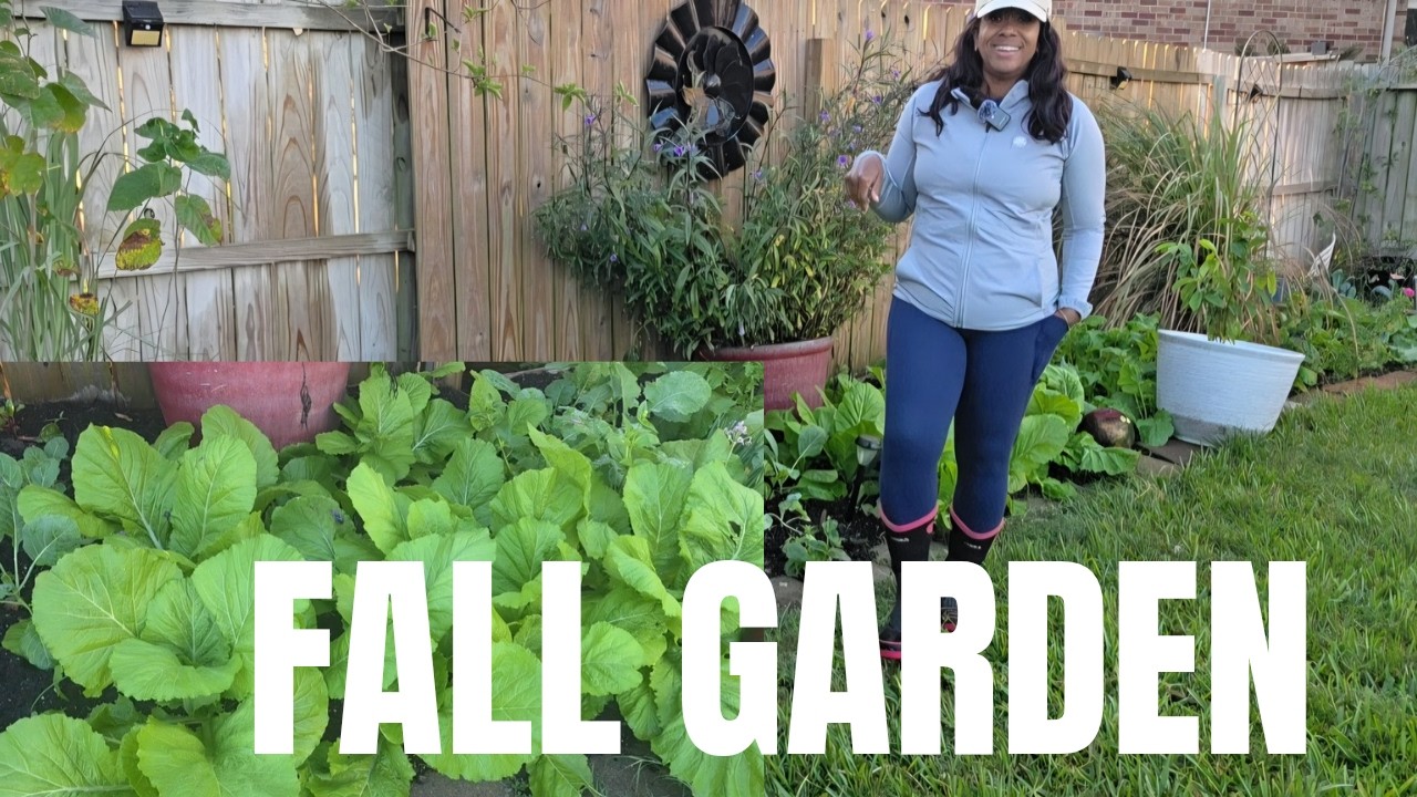My Fall Garden is looking AMAZING! - YouTube