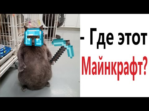 Лютые приколы. МАЙНКРАФТ ЛЮБИТ КОТ!!! Тест на психику! Засмеялся проиграл! – Domi Show!