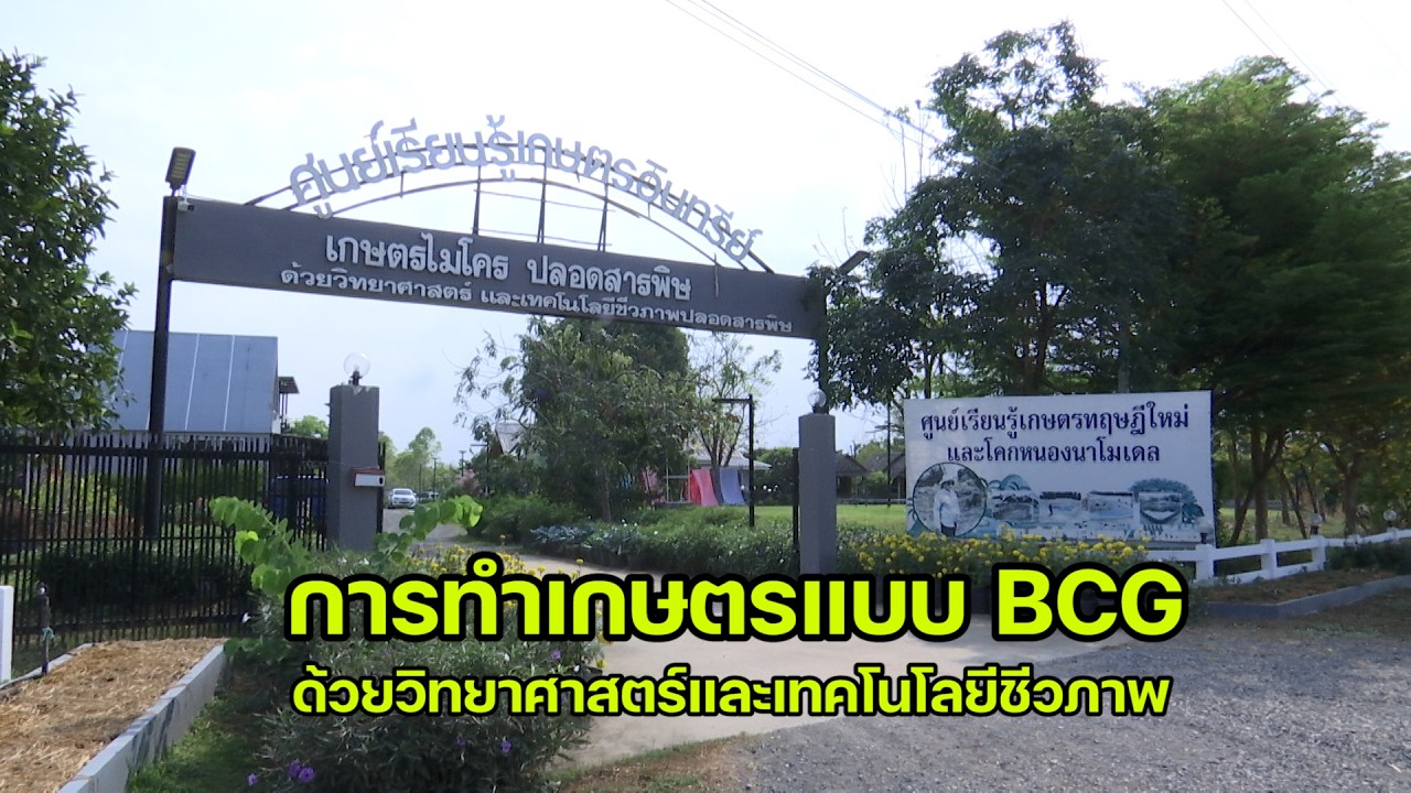 การทำเกษตร BCG ด้วยวิทยาศาสตร์และเทคโนโลยีชีวภาพ สวนทุเรียน