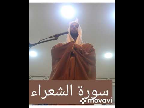 إن نشأ ننزل عليهم من السماء ءاية فظلت أعناقهم لها خاضعين
