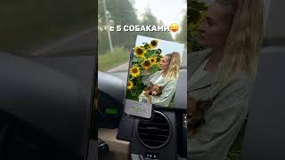 пожелайте нам удачи🩵