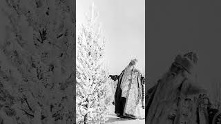 Белое Дерево