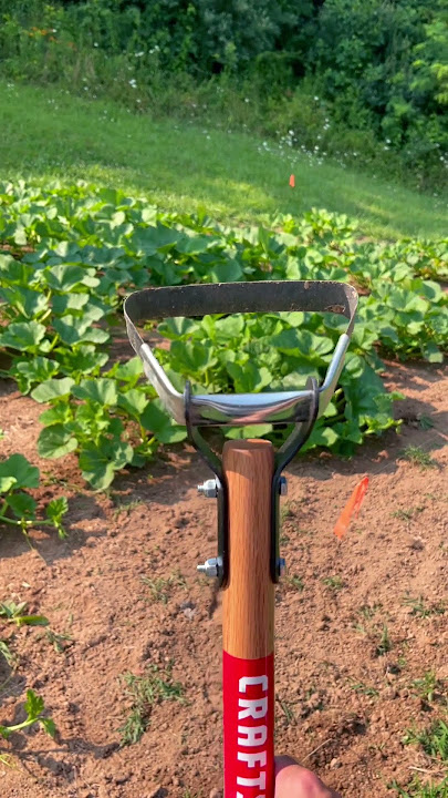 I’m impressed! # Craftsman Stirrup Garden Weed Hoe!