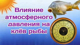 Влияние атмосферного давления на клев рыбы. Как влияет Атмосферное давление на успех рыбалки.