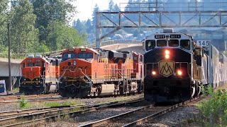 CN, CP and Rocky Mountaineer Trains at Braid Junction - June 1st, 2023