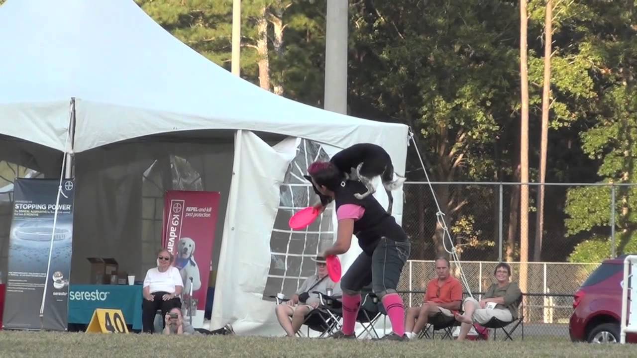 Andrea Rigler and Moxie Rd 2 - 3rd Place USDDN World Finals 2013