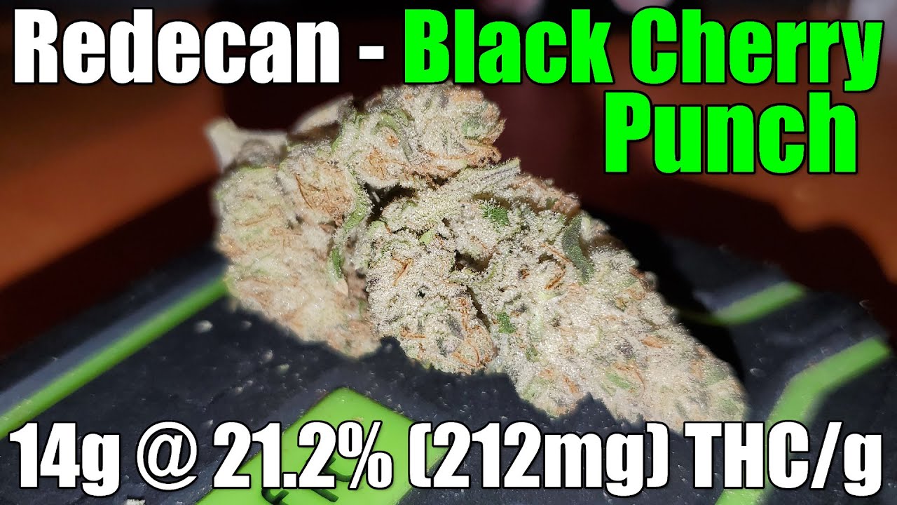 Redecan - Black Cherry Punch - Unboxing Review - 14g @ 21.2% (212mg) THC/g (+Extreme Closeups)