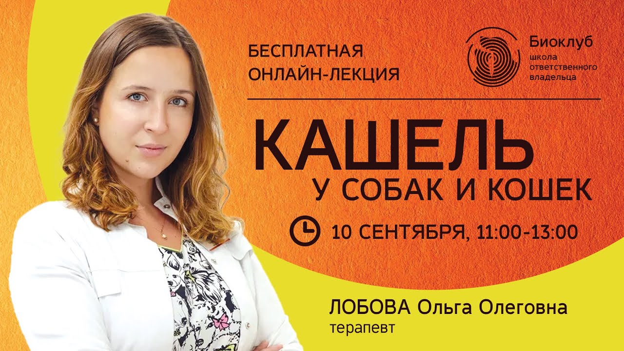 Кашель у собак и кошек - YouTube