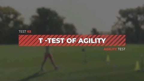 TestYou Timing- T-test of agility tutorial