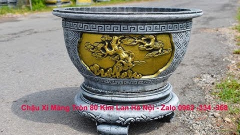 Chậu xi măng tròn f80 nền vàng Kim Lan Hà Nội