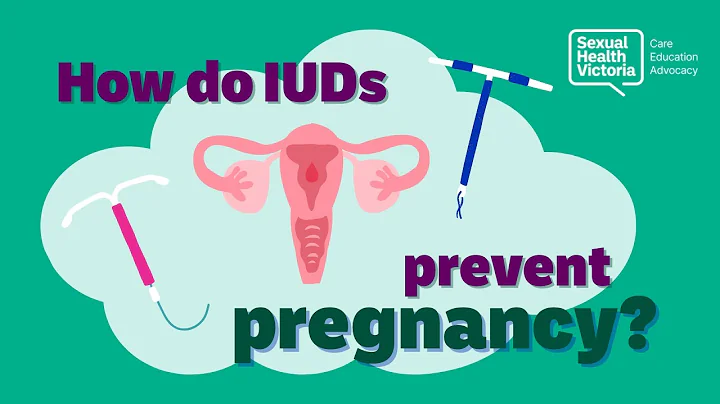 How do IUDs work?