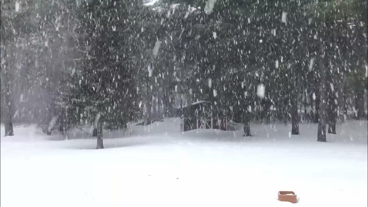 Впр после ночной вьюги лес. Звук снега. Шум снега. Затмение зимой метель. Таймыр зимой Пурга.