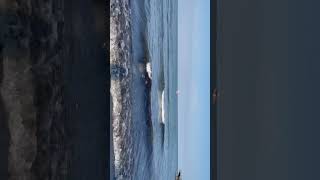 Alano ❤️❤️(Ordu)🇹🇷🇮🇶 Bi̇lal Sonses Geçmişi Araladım
