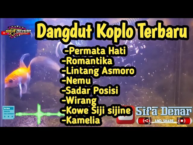 Dangdut Koplo Terbaru class=