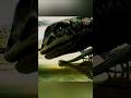 Part 1 #dinosaur #documentary