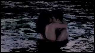 pieces | edward + bella