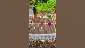 1 Small Bed, 6 Different Crops (Square Foot Growing)