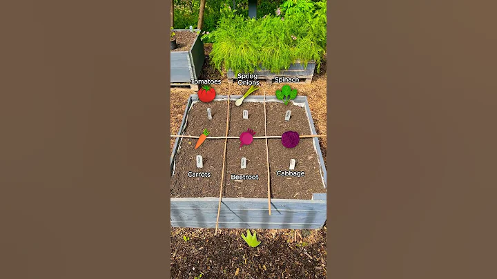 1 Small Bed, 6 Different Crops (Square Foot Growing)