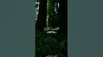هو الله الذي لا إله الا هو الملك القدوس السلم المؤمن المهيمن العزيز الجبار  | القارئ : أحمد النفيس |