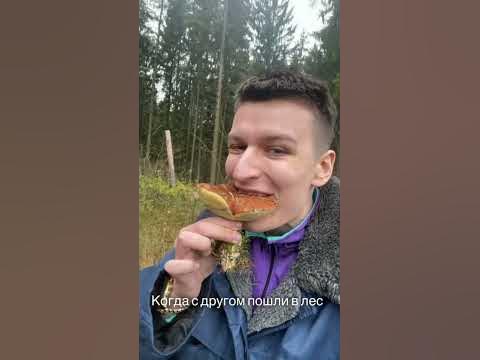 ВИТАЛ ШАРК И ГРИБЫ - YouTube