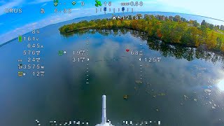 Finwing Albabird - WTFOS & MSP-OSD Arduplane 4.4.0