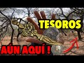 Aun hay 🔥 TESOROS 💰escondidos bajo estos Mesquites⛏