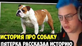 Пятерка Рассказал Историю Про Собаку И Ее Хозяйку!