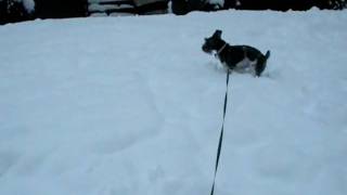 DSCN2212.AVI
