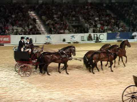 salon internacional del caballo sicab 2009 salon internacional del caballo sevilla youtube salon internacional del caballo sicab 2009 salon internacional del caballo sevilla youtube