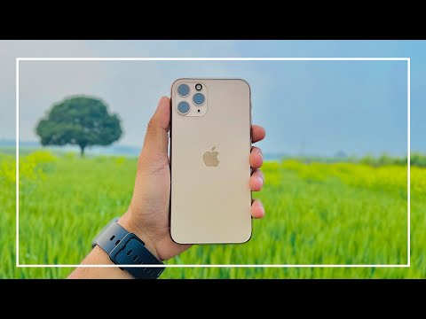 iPhone 11 pro in 2023 | camera test | dev