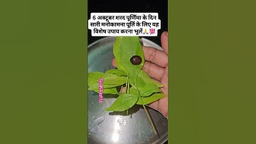 6 अक्टूबर शरद पूर्णिमा के दिन कमलगटे और बेलपत्र का उपाय अवश्य करें #upay #purnima #shivling #viral