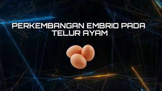 PERKEMBANGAN EMBRIO PADA TELUR AYAM | PETERNAKAN USU
