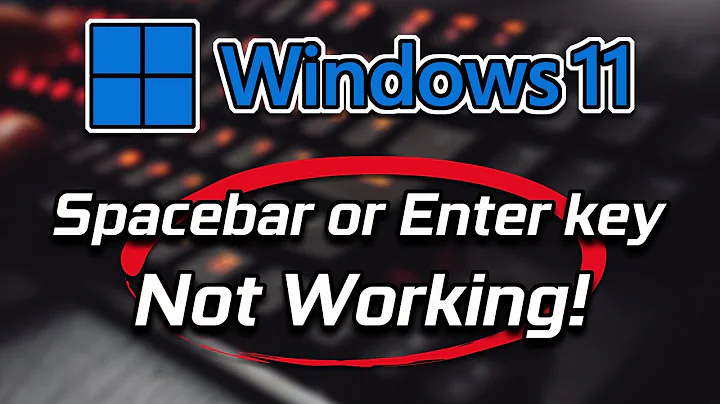 Spacebar or Enter Key is Not Working Windows 11 FIX [2024 Tutorial]