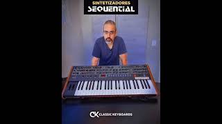Sequential Prophet 6 Sintetizador analógico  #synth
