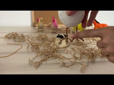 قصة زوجي فردي