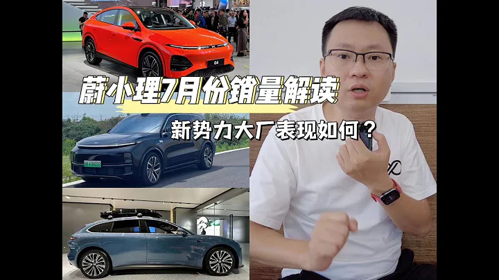 新八评 蔚小理7月份销量解读 - 天天要闻