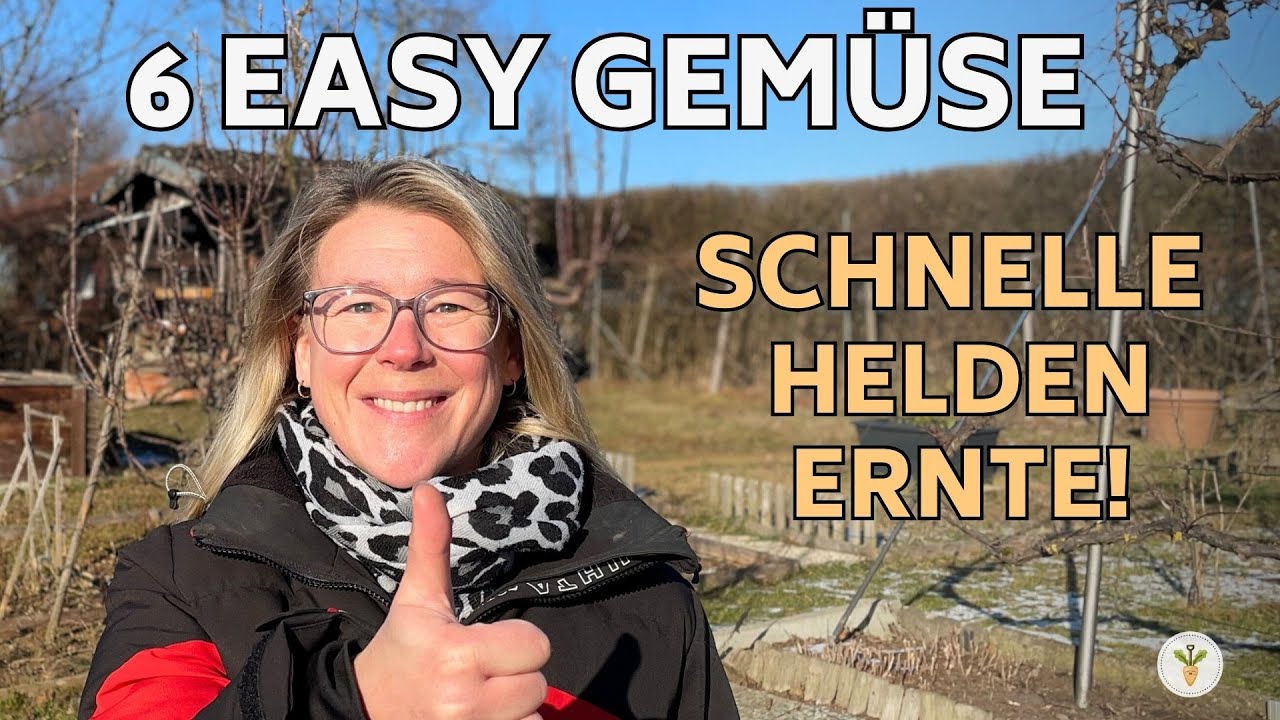 Die besten 6 Gemüse für Anfänger 2026 🌱 Easy & gelingsicher!