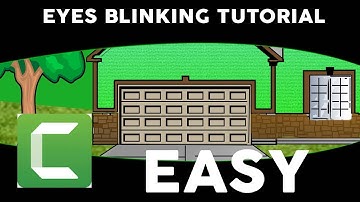 How to make realistic first person eye blinking effect using camtasia studio