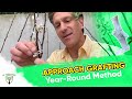 Year-Round Grafting Method: APPROACH GRAFTING |  Figs, Olives, Stone Fruit+