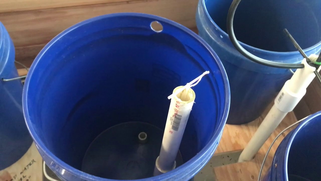 Quad Dutch Bucket System YouTube