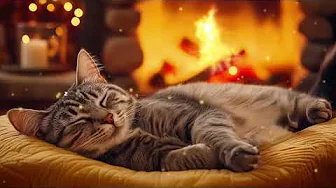 12 Hours Of Calming Music for Cats – Sleep Aid for Restless Cats 🎵🐈Calm Cat Music – Sleep Aid Cats