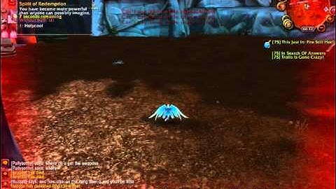 WOW Old private server bug