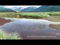 Wander The Wetlands 2025 Wander The Wetlands 2025