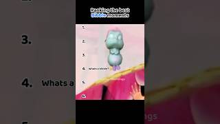 Les Moments Les Plus Drôles De Bibble Dans Barbie