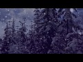 Snow Falling Motion Effect - Christmas  Background Video