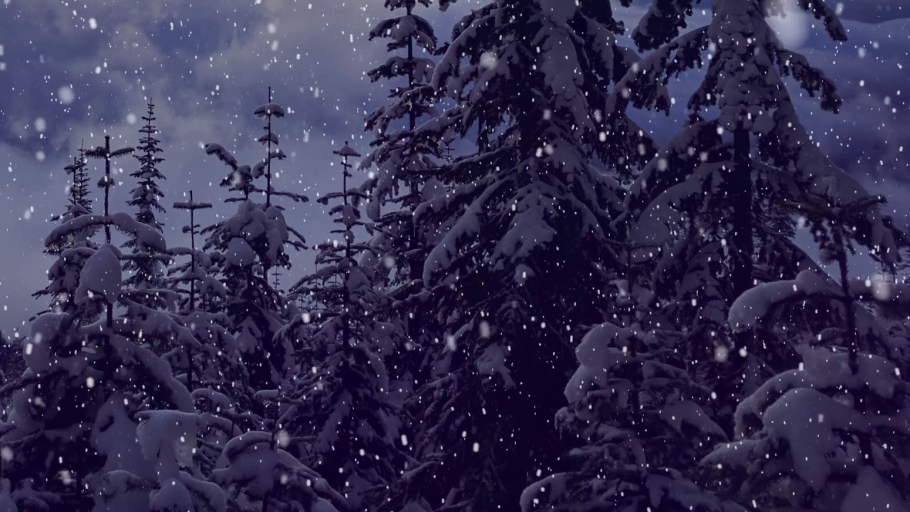 Snow Falling Motion Effect - Christmas Background Video - YouTube