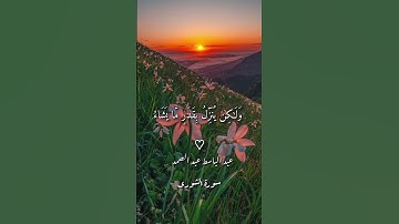#عبدالباسط_عبدالصمد #قران_كريم #سورة الشورى#تلاوة_خاشعة #راحة_نفسية🤍🎧