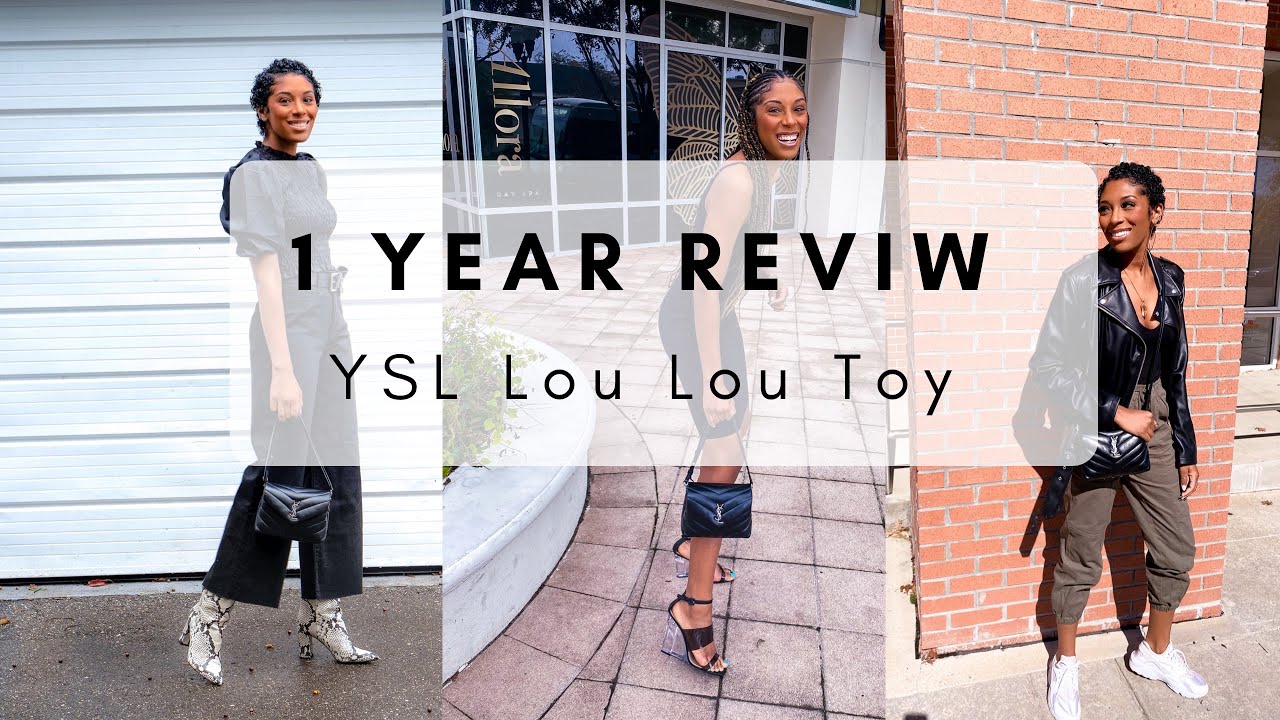 1 Year Reviw, YSL LouLou Toy Bag